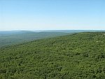 Sams View Pine Barrens