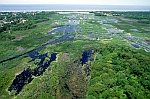 Cape May Wetlands New Jersey